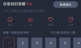 精品视频,深度解析